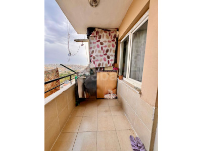 WhatsApp Image 2026-02-17 at 11.19.17 (3).jpeg